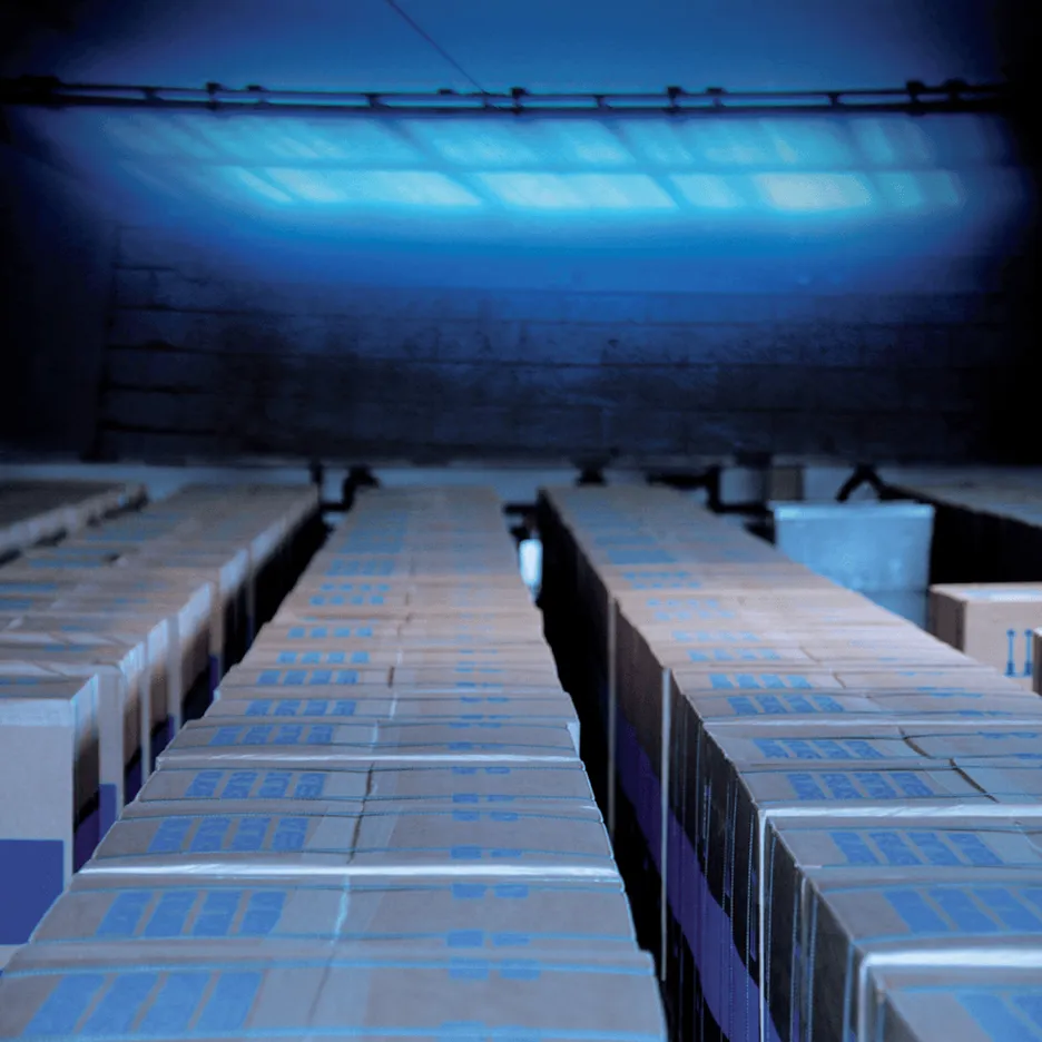 Sterilized packages and transport containers